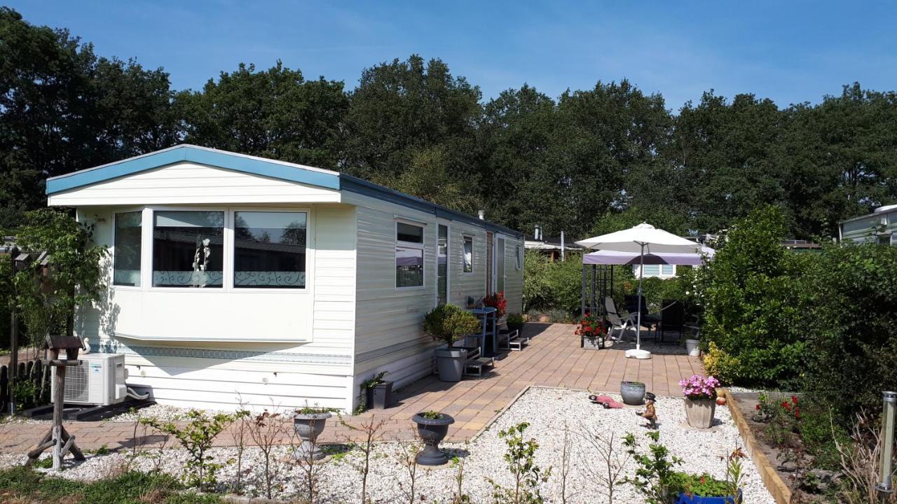 Comfortabel 4-Persoons Chalet Paasloo Εξωτερικό φωτογραφία